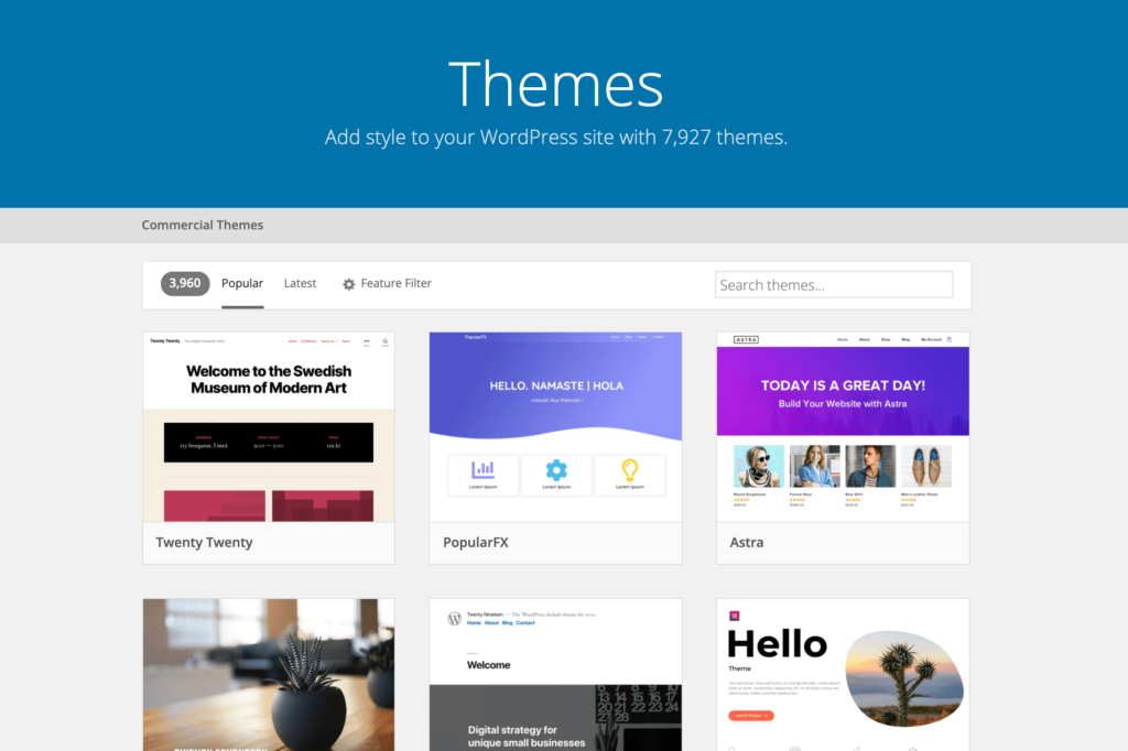 2024 Popüler Olan En İyi WordPress Temaları ve Kullanım Alanları | TuemCloud